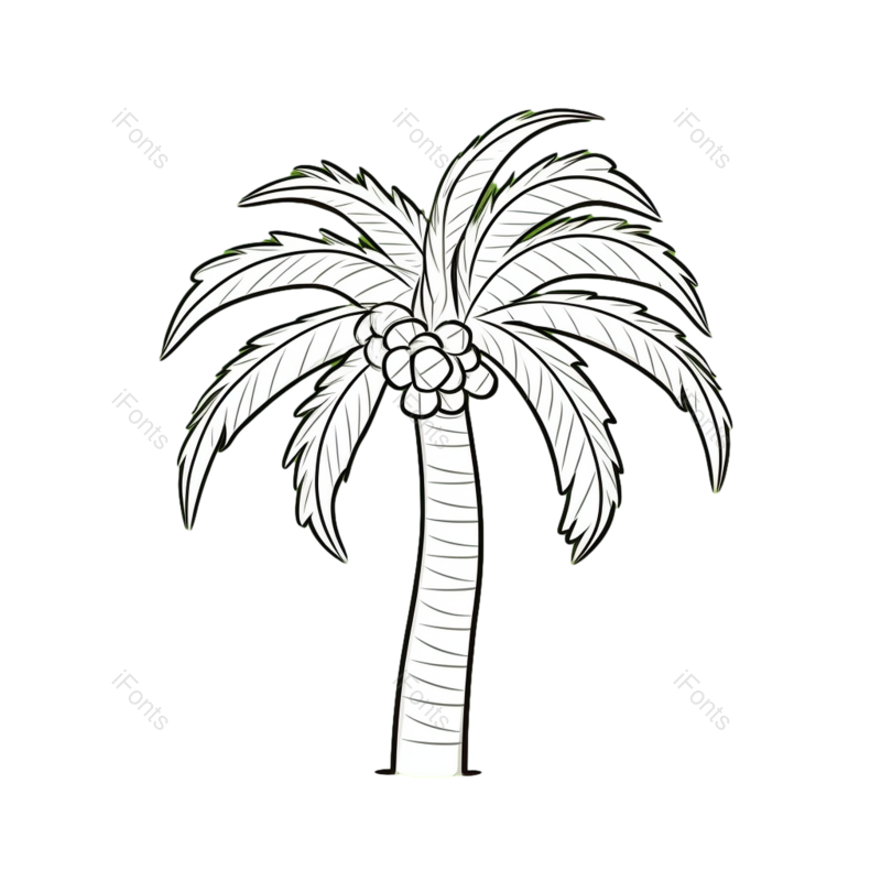 夏天图片,自然元素,森林PNG,椰子树免抠素材